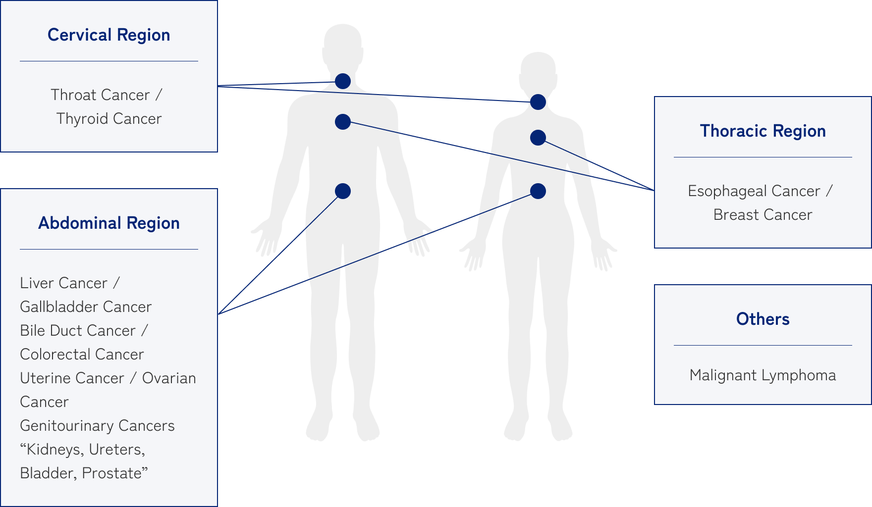 Images of the Targeted Disease Site